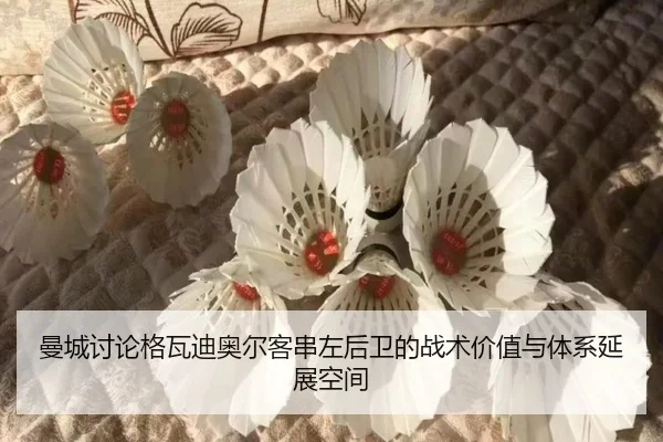 曼城讨论格瓦迪奥尔客串左后卫的战术价值与体系延展空间